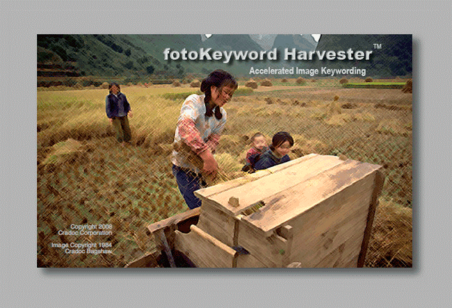 image keywording made easy with Cradoc fotoSoftware's fotoKeyword Harvester - keyword generator