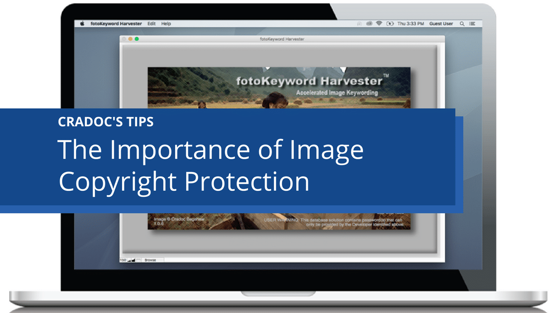 The Importance of Image Copyright Protection - Cradoc fotoSoftware